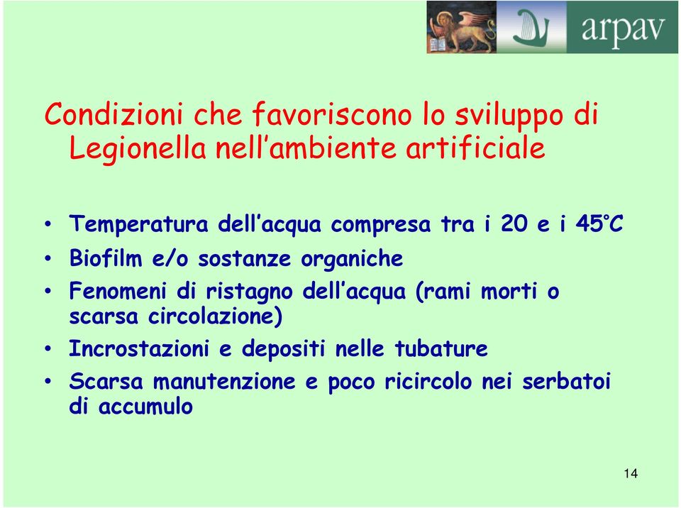 Fenomeni di ristagno dell acqua (rami morti o scarsa circolazione) Incrostazioni e