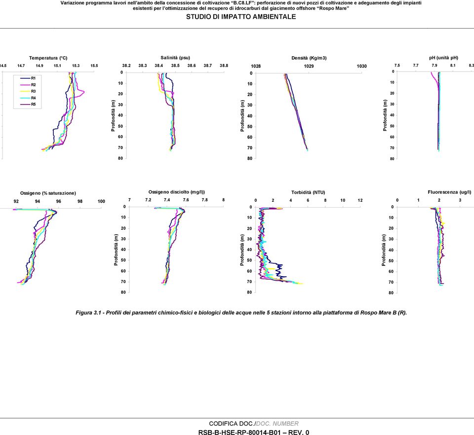 (psu) Densità (Kg/m3) ph (unità ph) 4.5 14.7 14.9 15.1 R1 R2 R3 R4 R5 15.3 15.5 Profondità (m) 38.2 38.3 38.4 38.5 38.6 38.7 38.