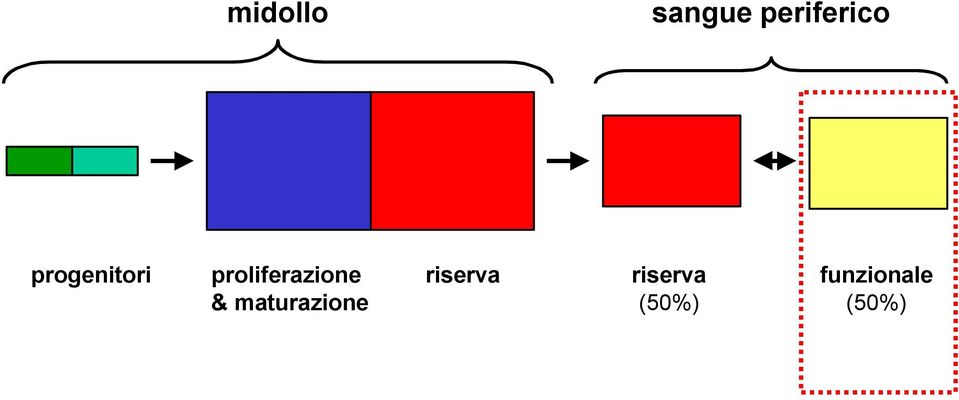 & maturazione riserva