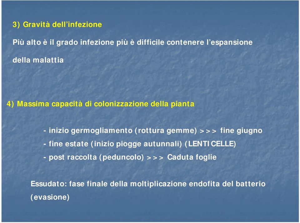 (rottura gemme) >>> fine giugno - fine estate (inizio piogge autunnali) (LENTICELLE) - post