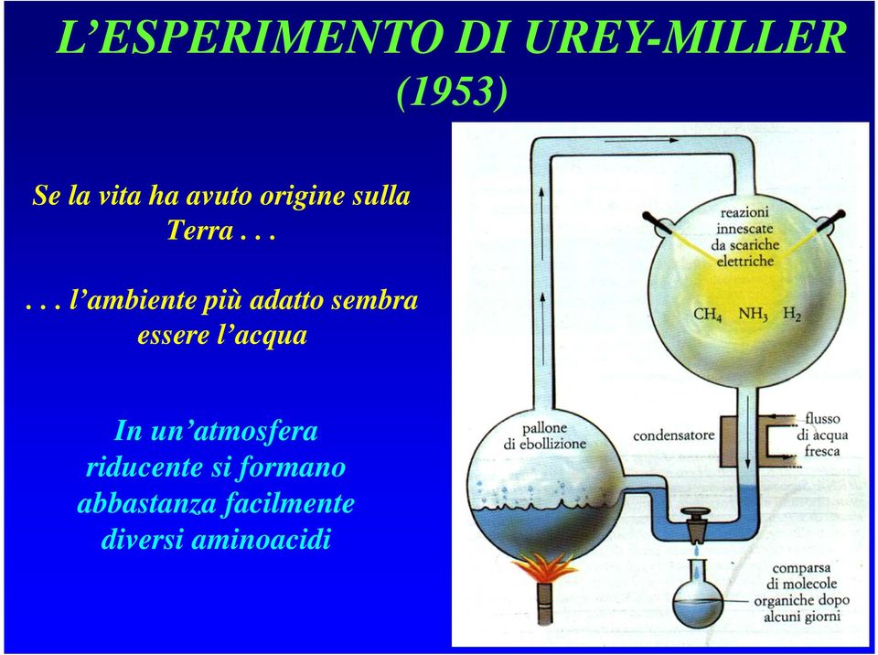 ..... l ambiente più adatto sembra essere l acqua