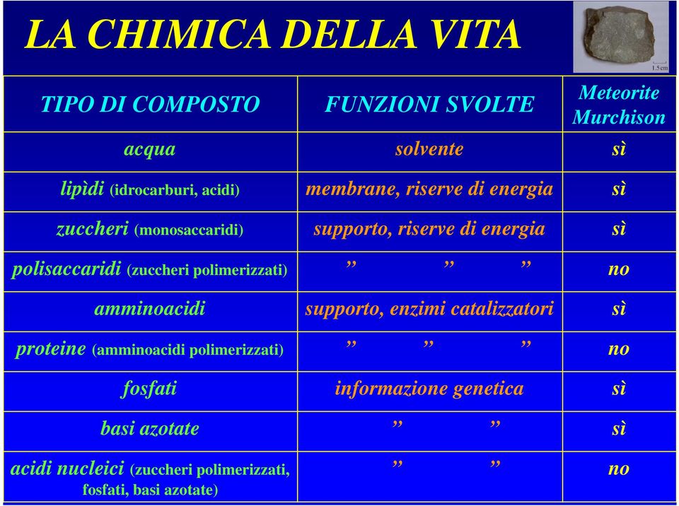 polisaccaridi (zuccheri polimerizzati) no amminoacidi supporto, enzimi catalizzatori sì proteine (amminoacidi