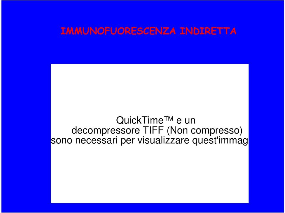 TIFF (Non compresso) sono