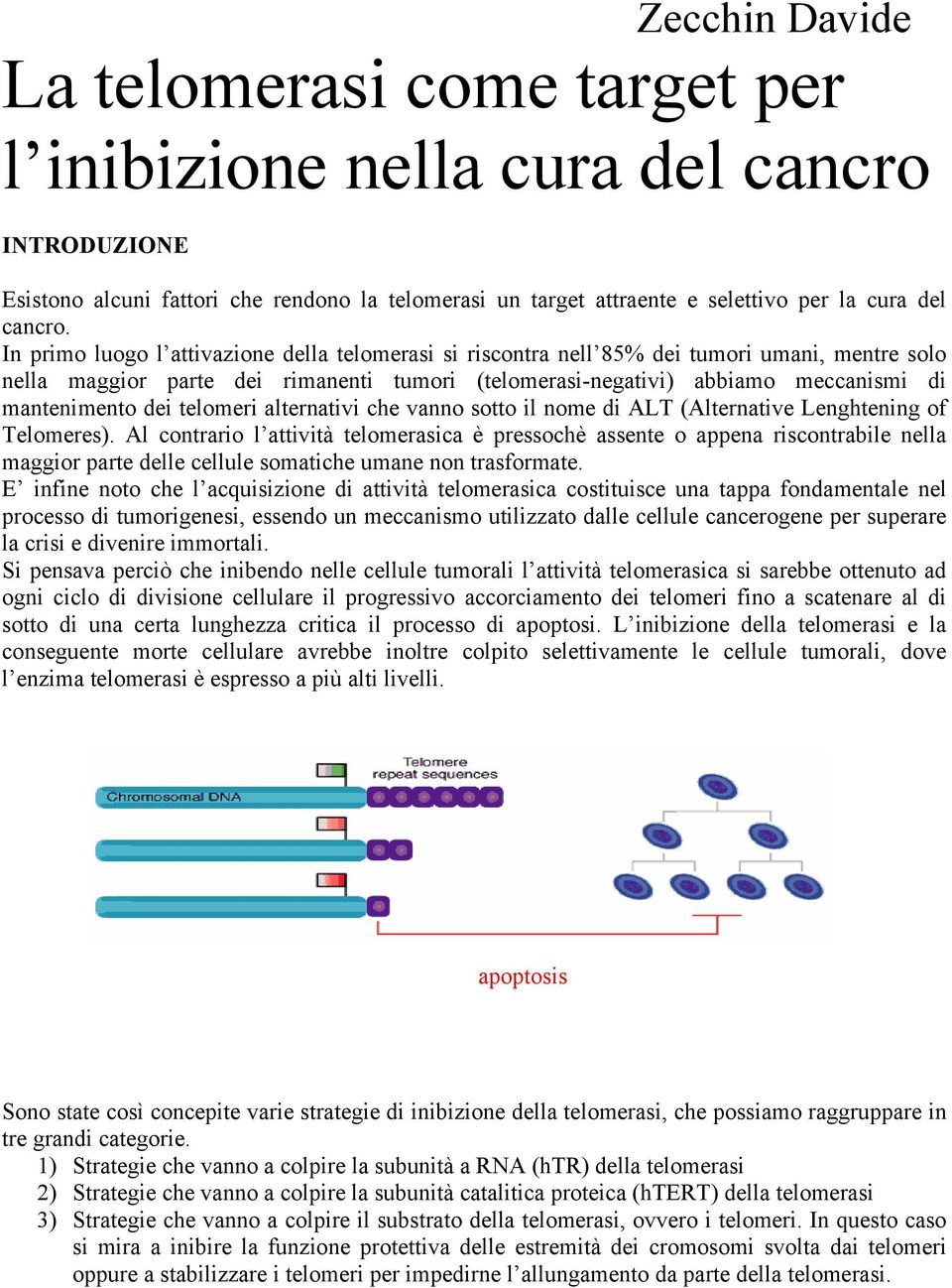telomeri alternativi che vanno sotto il nome di ALT (Alternative Lenghtening of Telomeres).