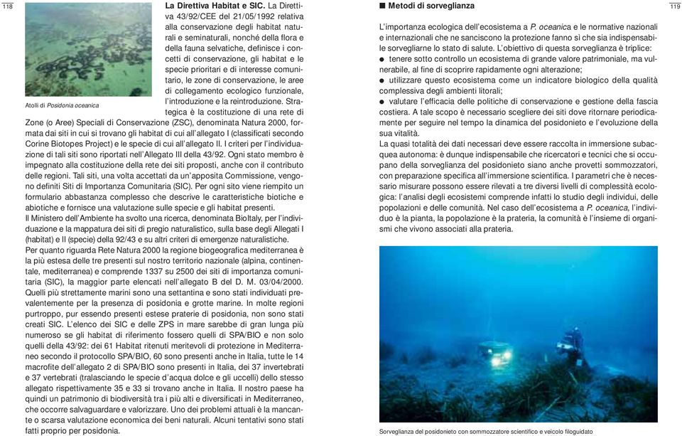 habitat e le specie prioritari e di interesse comunitario, le zone di conservazione, le aree di collegamento ecologico funzionale, l introduzione e la reintroduzione.