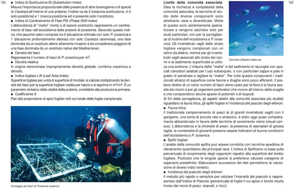 122 123 Indice di Cambiamento di Fase PSI (Phase Shift Index) L abbondanza di matte morta o di specie sostitutrici rappresenta un cambiamento di fase nell ecosistema delle praterie di posidonie.