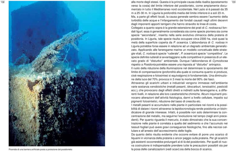 Nel Lazio si è passati da 35 m a 25-30 m. In Liguria la profondità media del limite inferiore è a soli 23 m.