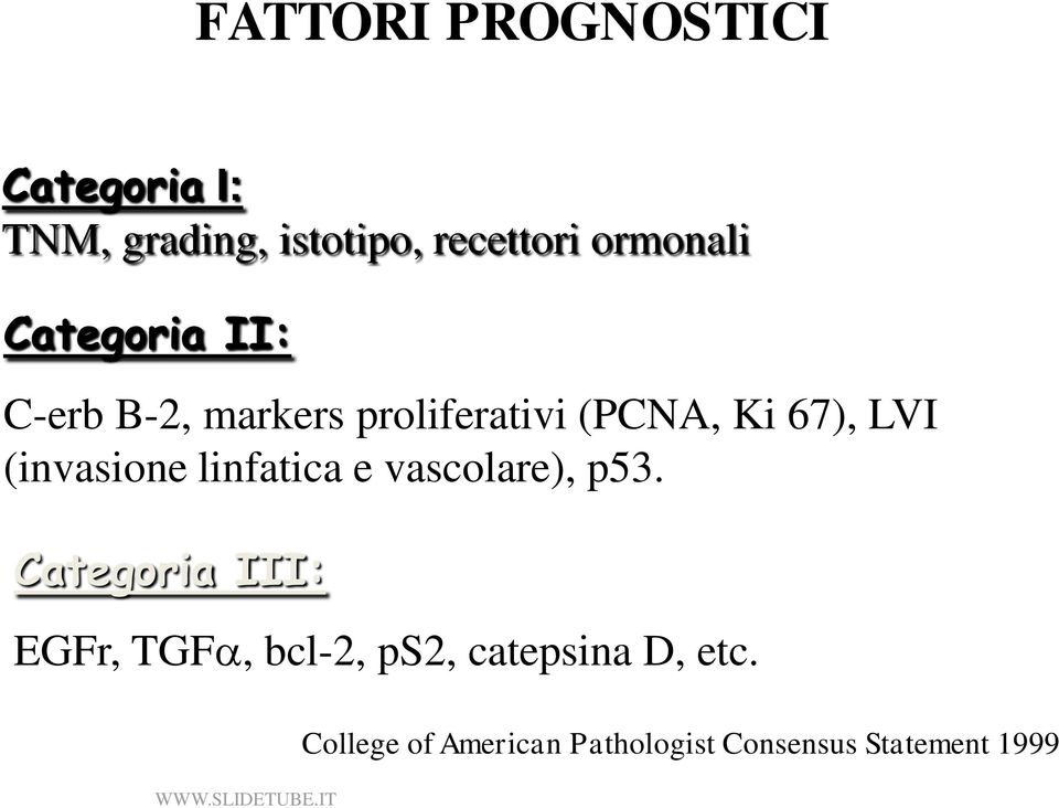 LVI (invasione linfatica e vascolare), p53.