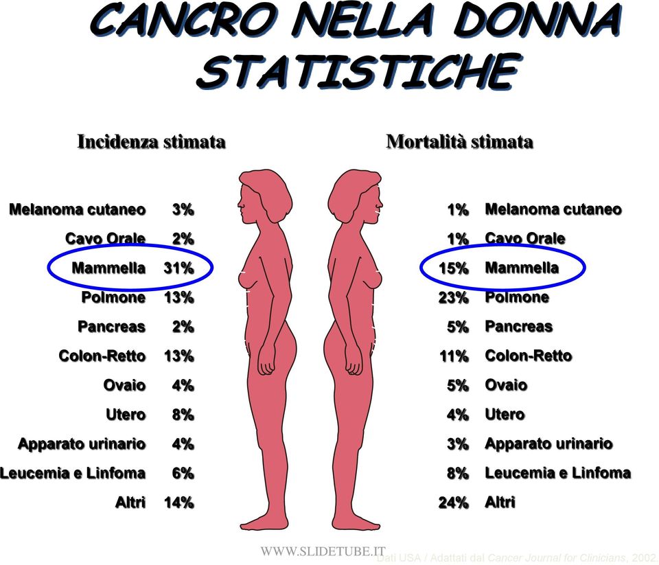 Colon-Retto 13% 11% Colon-Retto Ovaio 4% 5% Ovaio Utero 8% 4% Utero Apparato urinario 4% 3% Apparato urinario