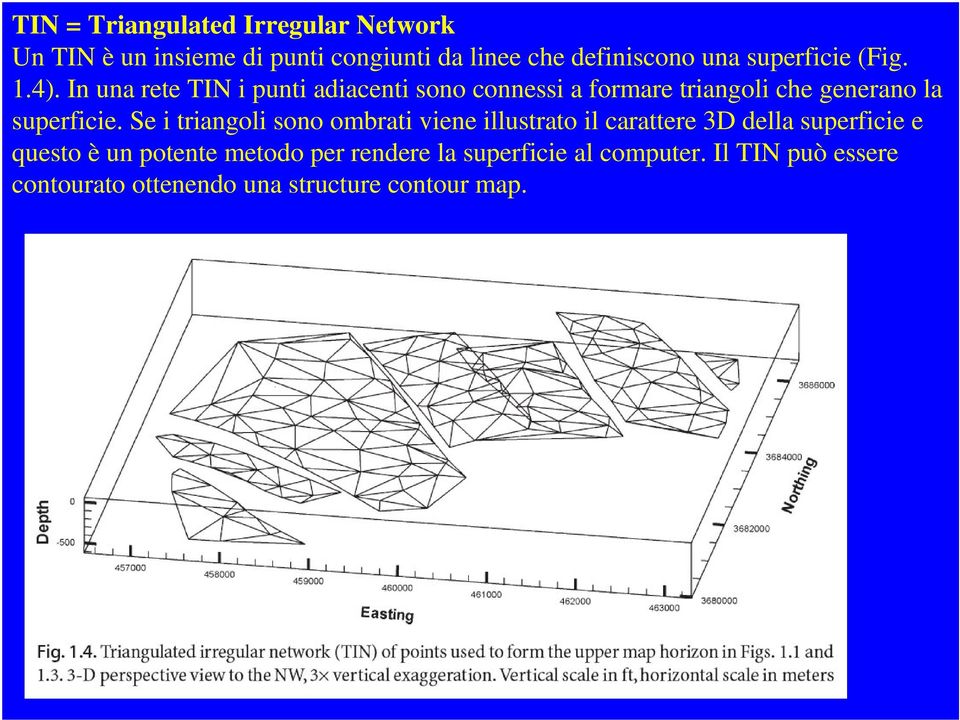 In una rete TIN i punti adiacenti sono connessi a formare triangoli che generano la superficie.