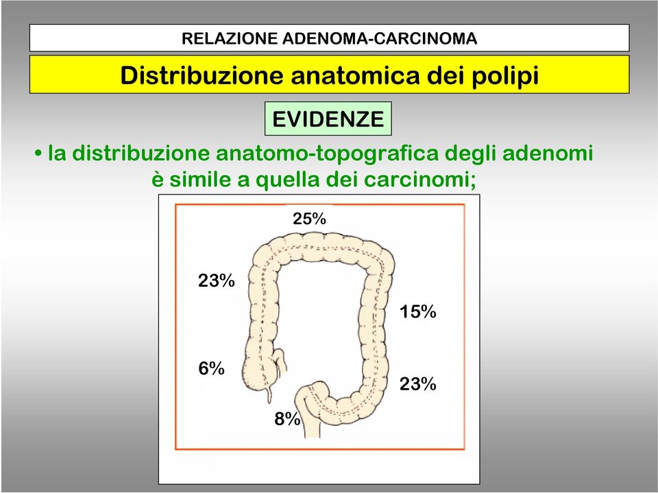 distribuzione anatomo-topografica degli