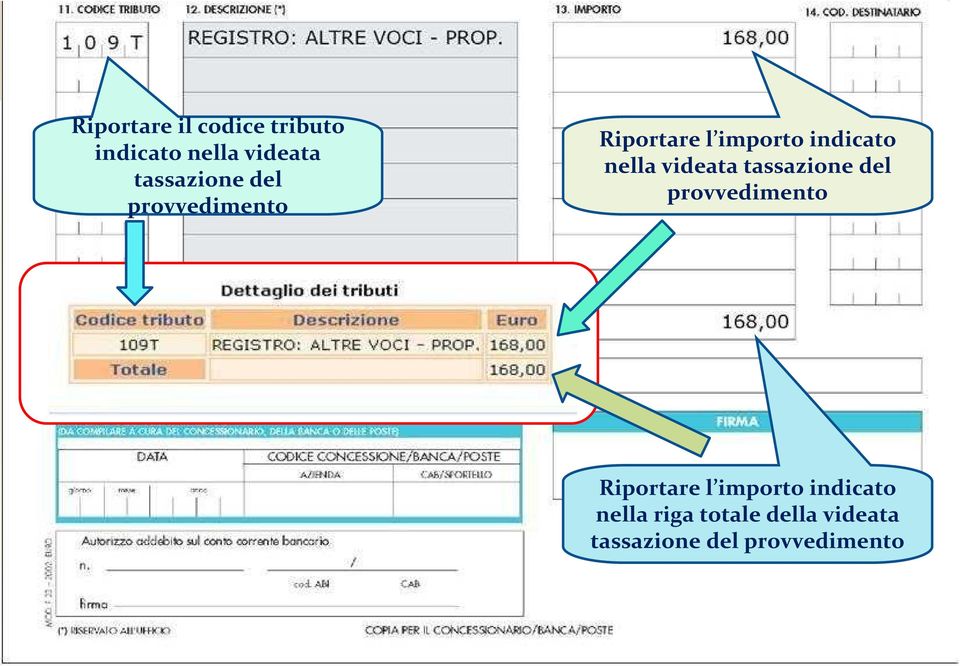 nella videata  nella riga totale della videata tassazione