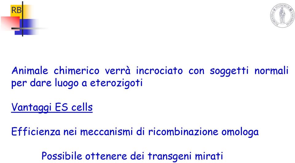 cells Efficienza nei meccanismi di