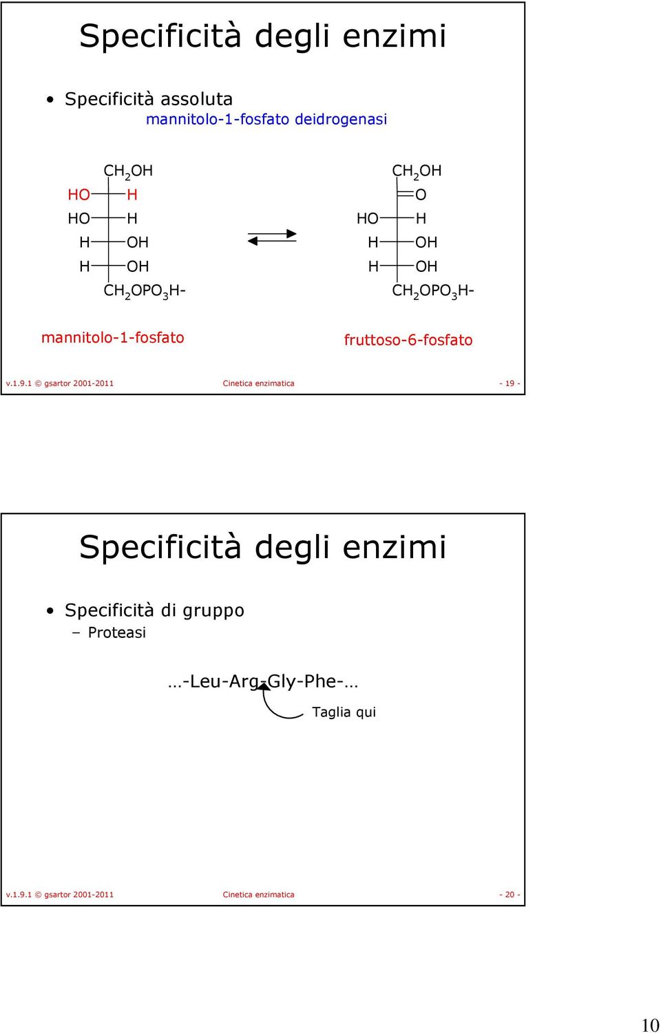 1 gsartor 2001-2011 Cinetica enzimatica - 19 - Specificità degli enzimi Specificità