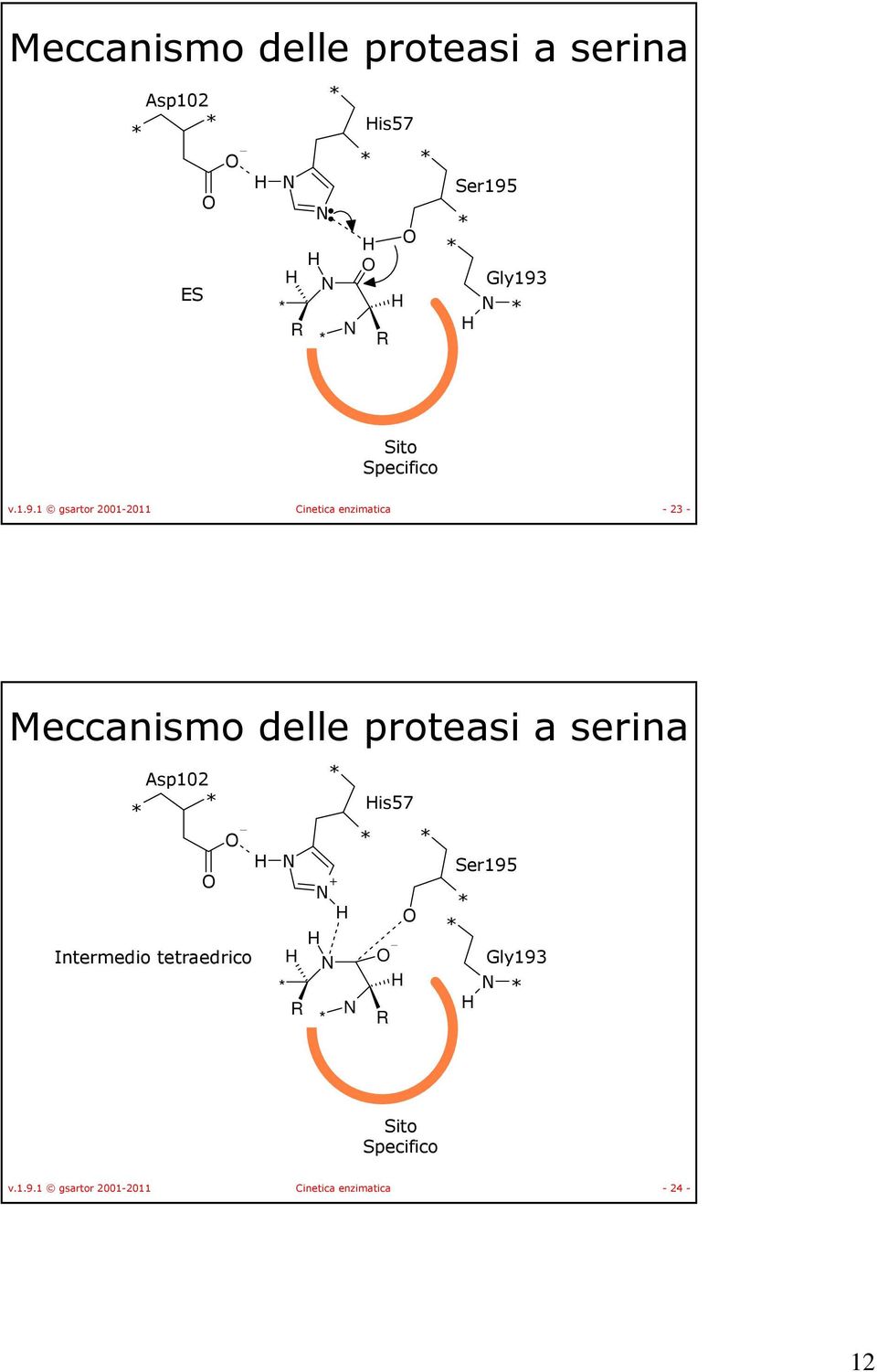 1 gsartor 2001-2011 Cinetica enzimatica - 23 - Meccanismo delle proteasi