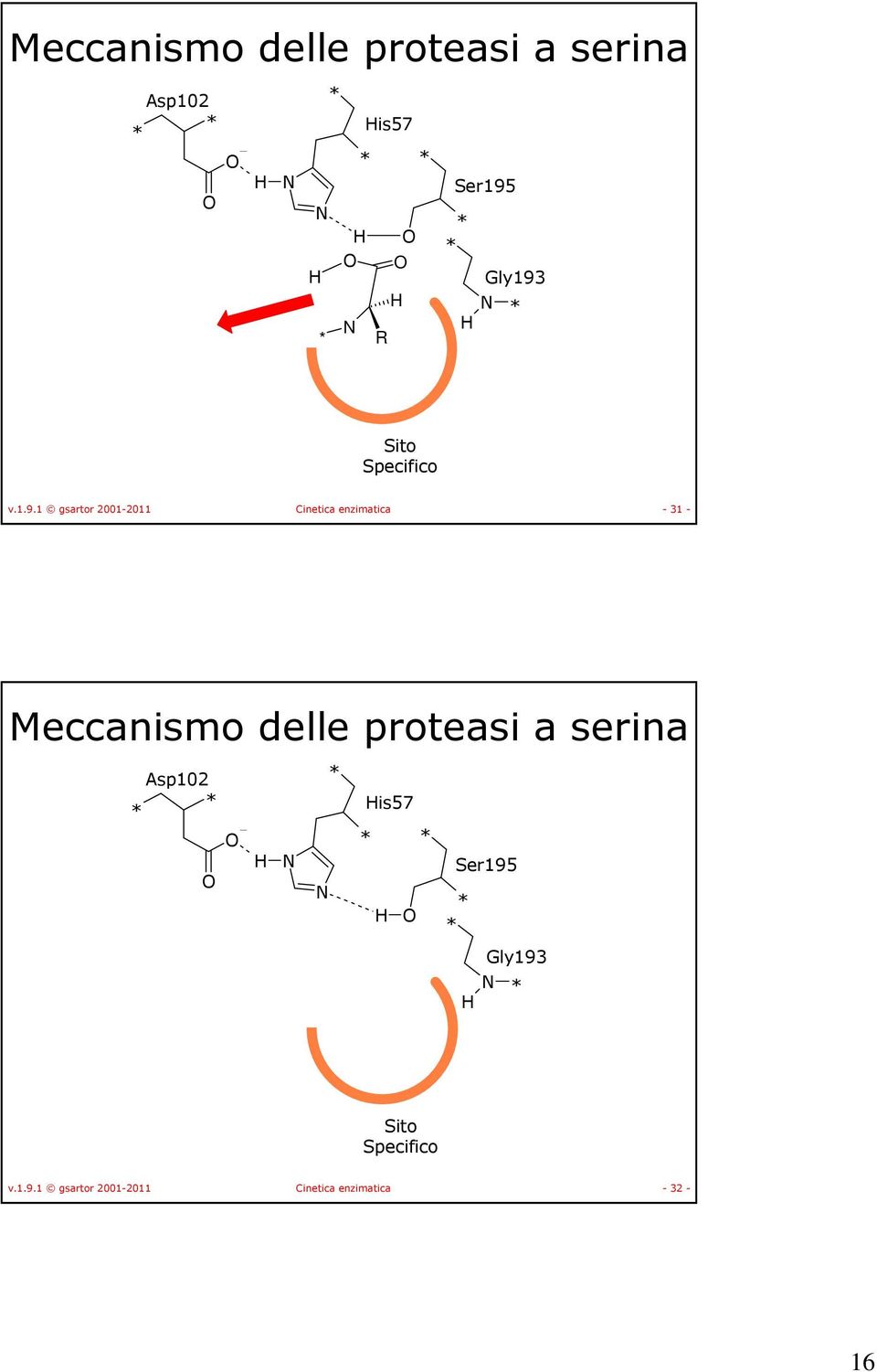 1 gsartor 2001-2011 Cinetica enzimatica - 31 - Meccanismo delle