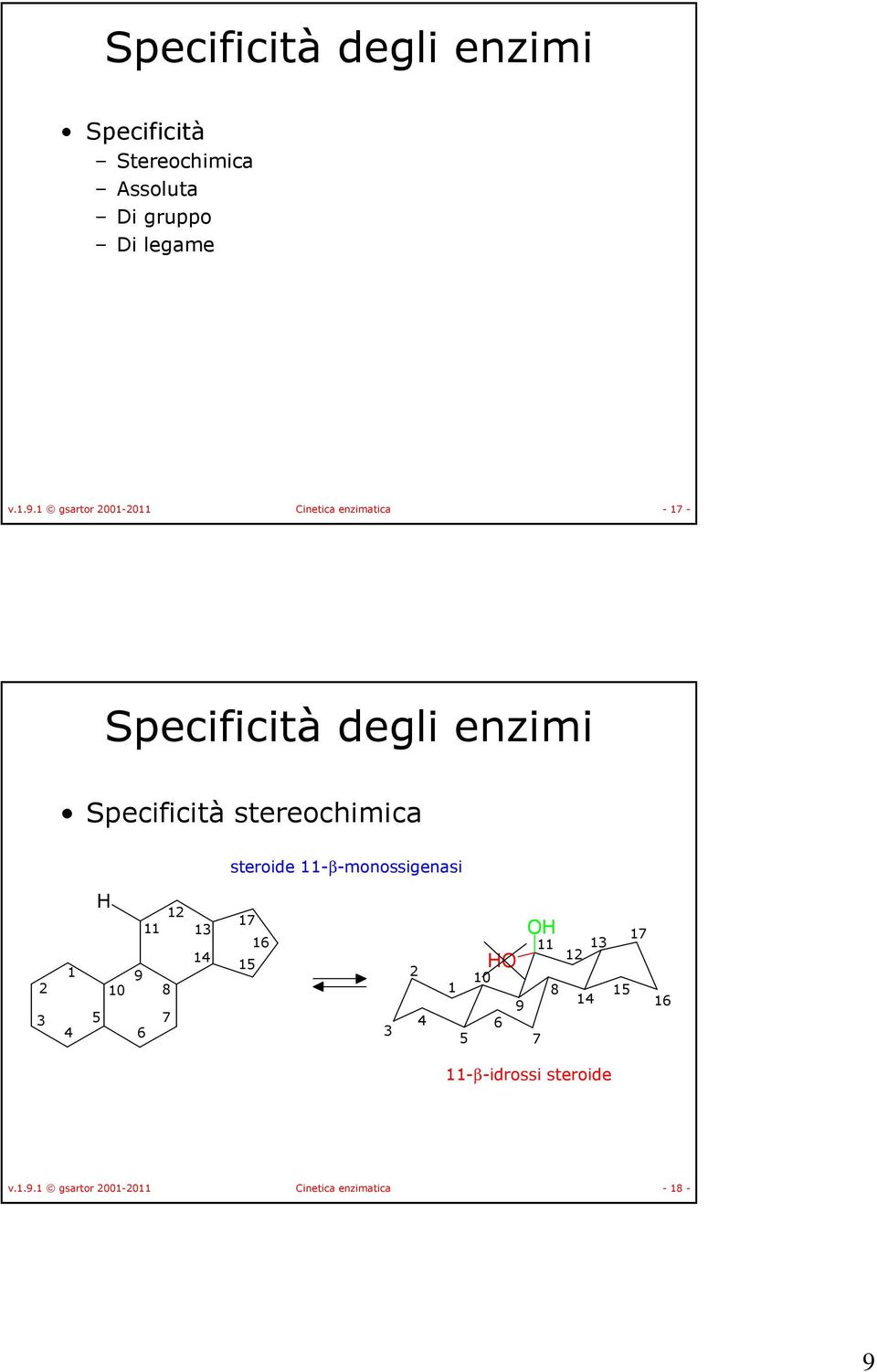 stereochimica steroide 11-β-monossigenasi 2 3 12 11 13 17 16 1 14 9 15 2 10 8 5 7 4 4 6 3 10