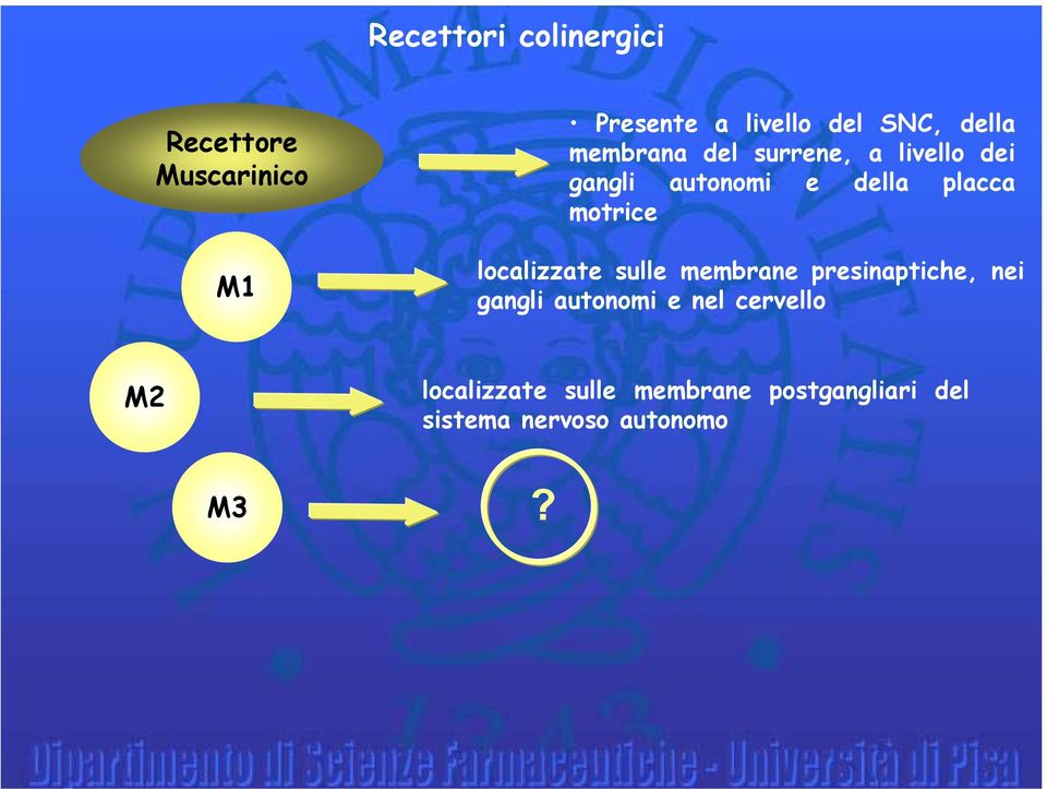 motrice localizzate sulle membrane presinaptiche, nei gangli autonomi e nel