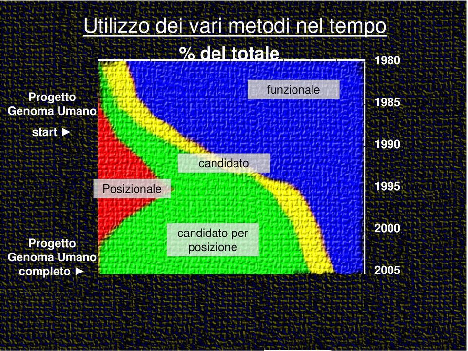 candidato 1990 Posizionale 1995 Progetto Genoma