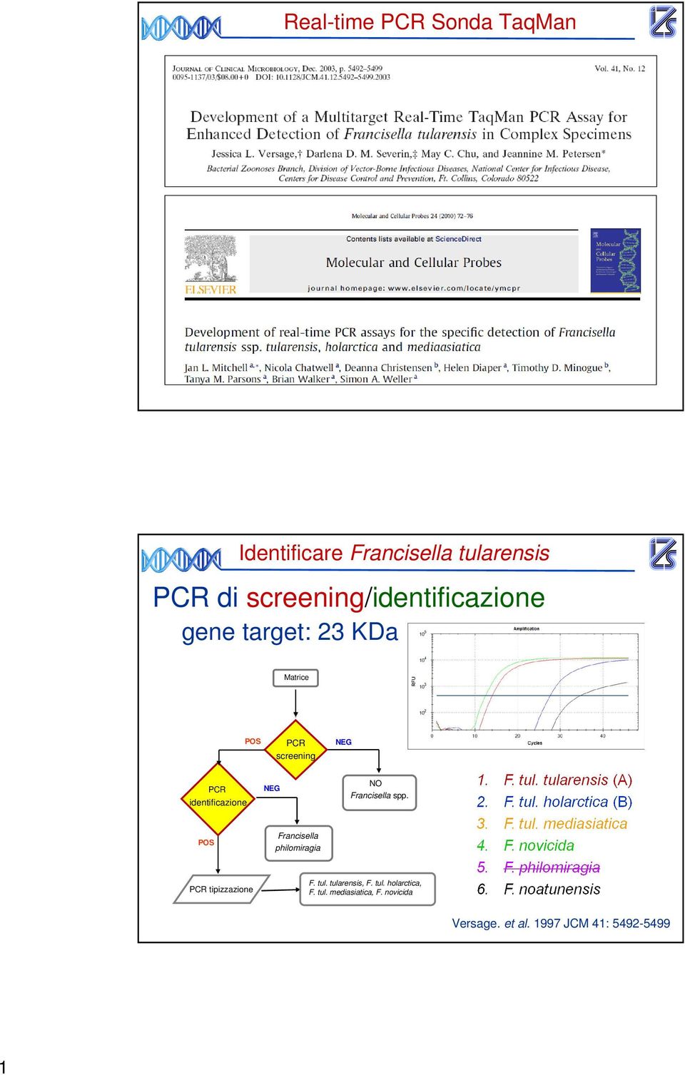 identificazione NO Francisella spp. Francisella philomiragia tipizzazione F.