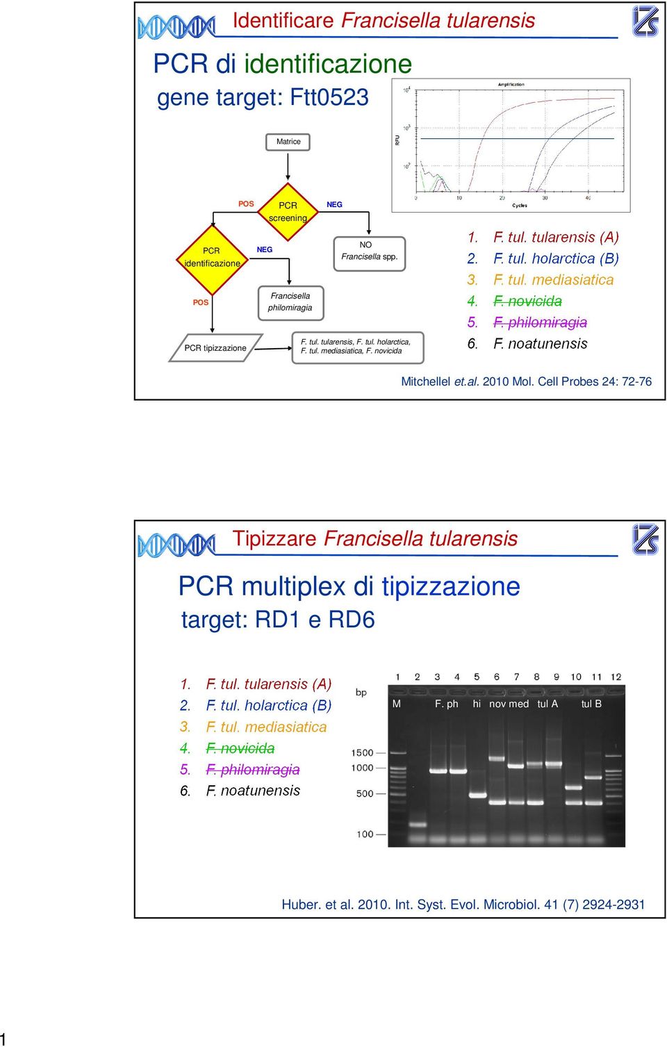 novicida Mitchellel et.al. 200 Mol.