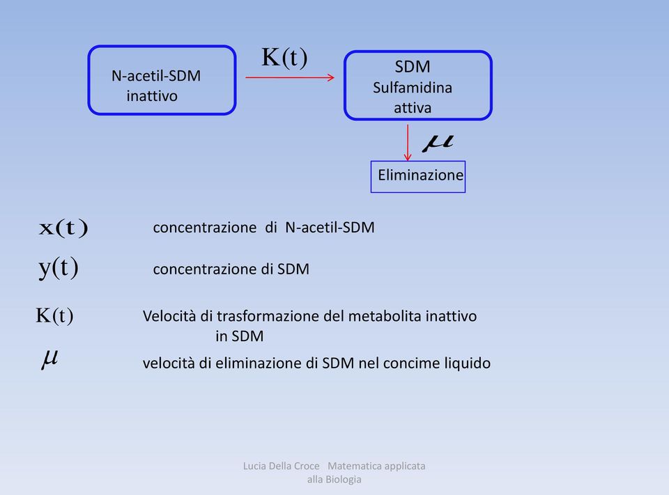 concentrazione di SDM Velocità di trasformazione del