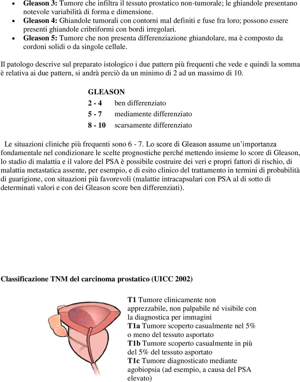 Gleason 5: Tumore che non presenta differenziazione ghiandolare, ma è composto da cordoni solidi o da singole cellule.