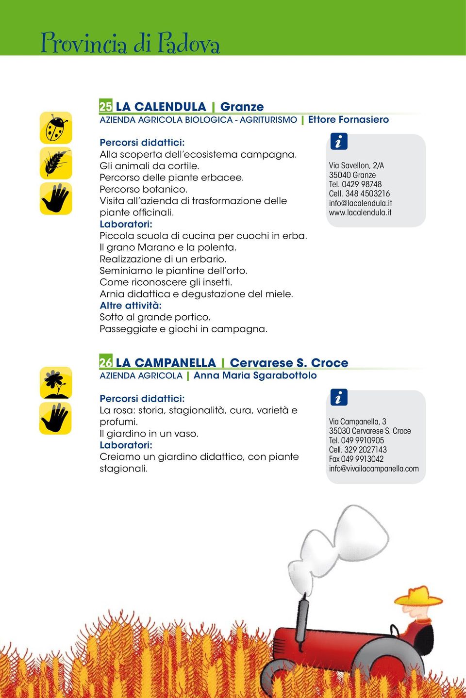 Come riconoscere gli insetti. Arnia didattica e degustazione del miele. Sotto al grande portico. Passeggiate e giochi in campagna. Via Savellon, 2/A 35040 Granze Tel. 0429 98748 Cell.