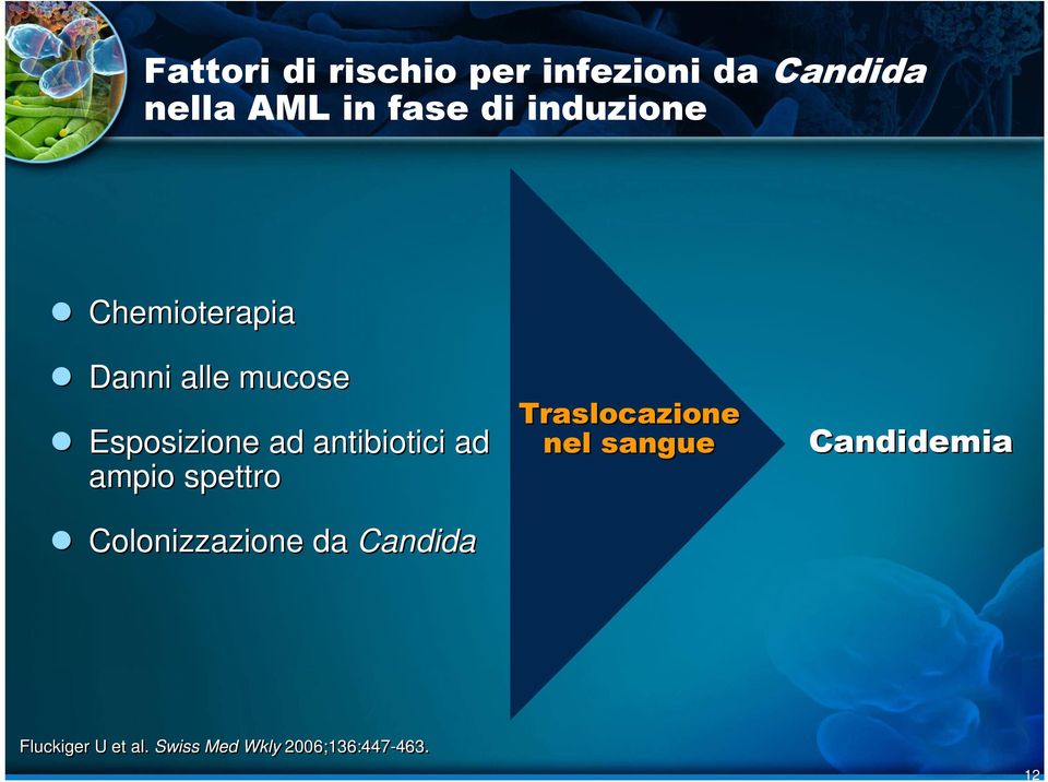 antibiotici ad ampio spettro Colonizzazione da Candida