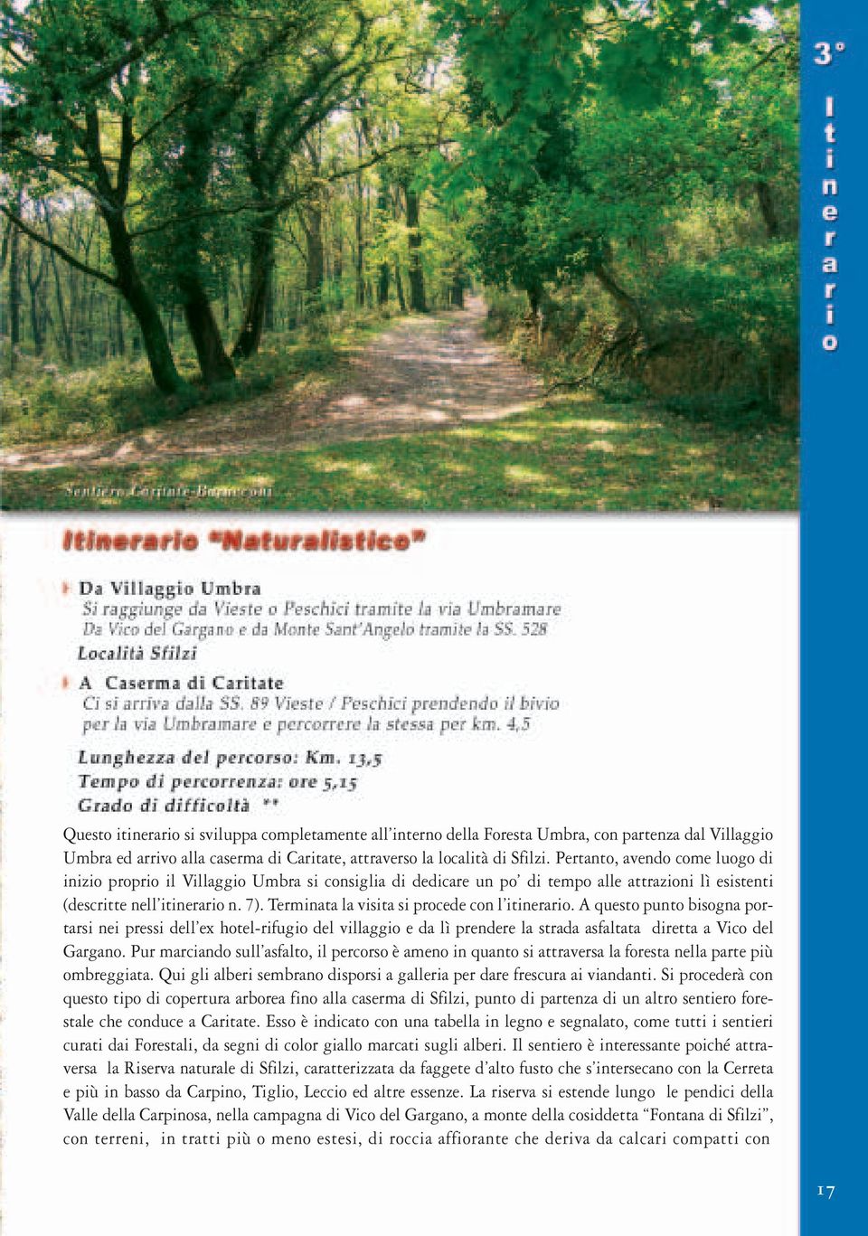 Terminata la visita si procede con l itinerario. A questo punto bisogna portarsi nei pressi dell ex hotel-rifugio del villaggio e da lì prendere la strada asfaltata diretta a Vico del Gargano.