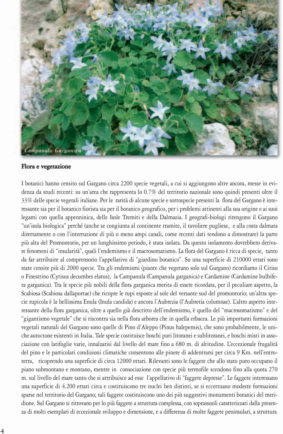 Per le rarità di alcune specie e sottospecie presenti la flora del Gargano è interessante sia per il botanico fiorista sia per il botanico geografico, per i problemi attinenti alla sua origine e ai