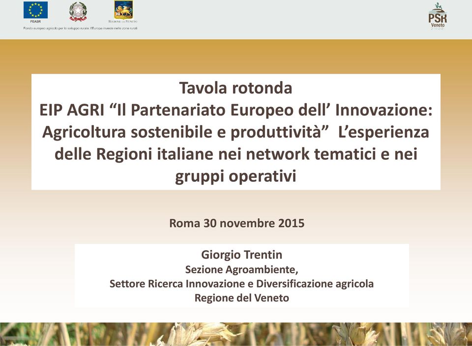 tematici e nei gruppi operativi Roma 30 novembre 2015 Giorgio Trentin Sezione