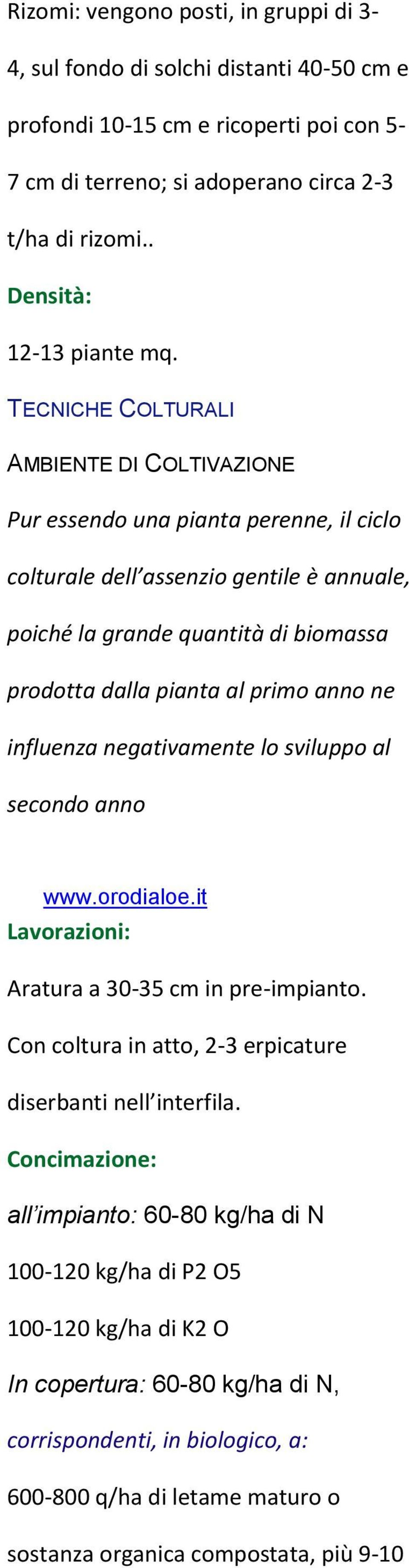 TECNICHE COLTURALI AMBIENTE DI COLTIVAZIONE Pur essendo una pianta perenne, il ciclo colturale dell assenzio gentile è annuale, poiché la grande quantità di biomassa prodotta dalla pianta al primo