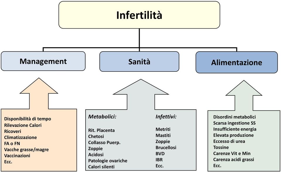 Zoppie Acidosi Patologie ovariche Calori silenti Infettivi: Metriti Mastiti Zoppie Brucellosi BVD IBR Ecc.