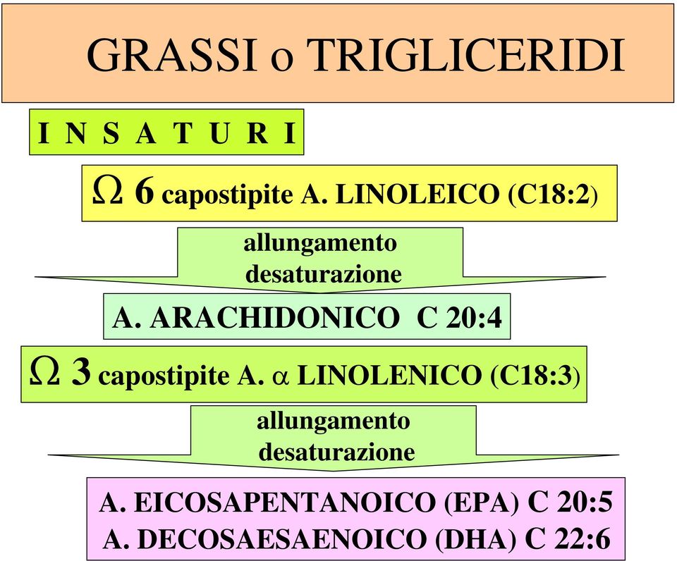 ARACHIDONICO C 20:4 Ω 3 capostipite A.