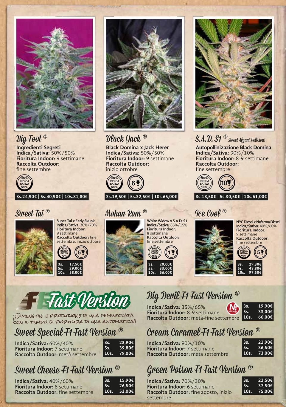 61,00 Sweet Tai Mohan Ram Ice Cool Super Tai x Early Skunk Indica/Sativa: 30/70 9 settimane fine settembre, inizio ottobre White Widow x S.A.D.