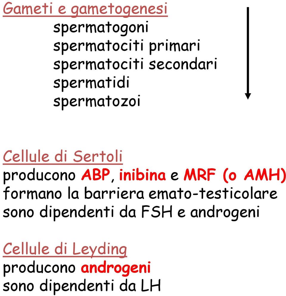 inibina e MRF (o AMH) formano la barriera emato-testicolare sono