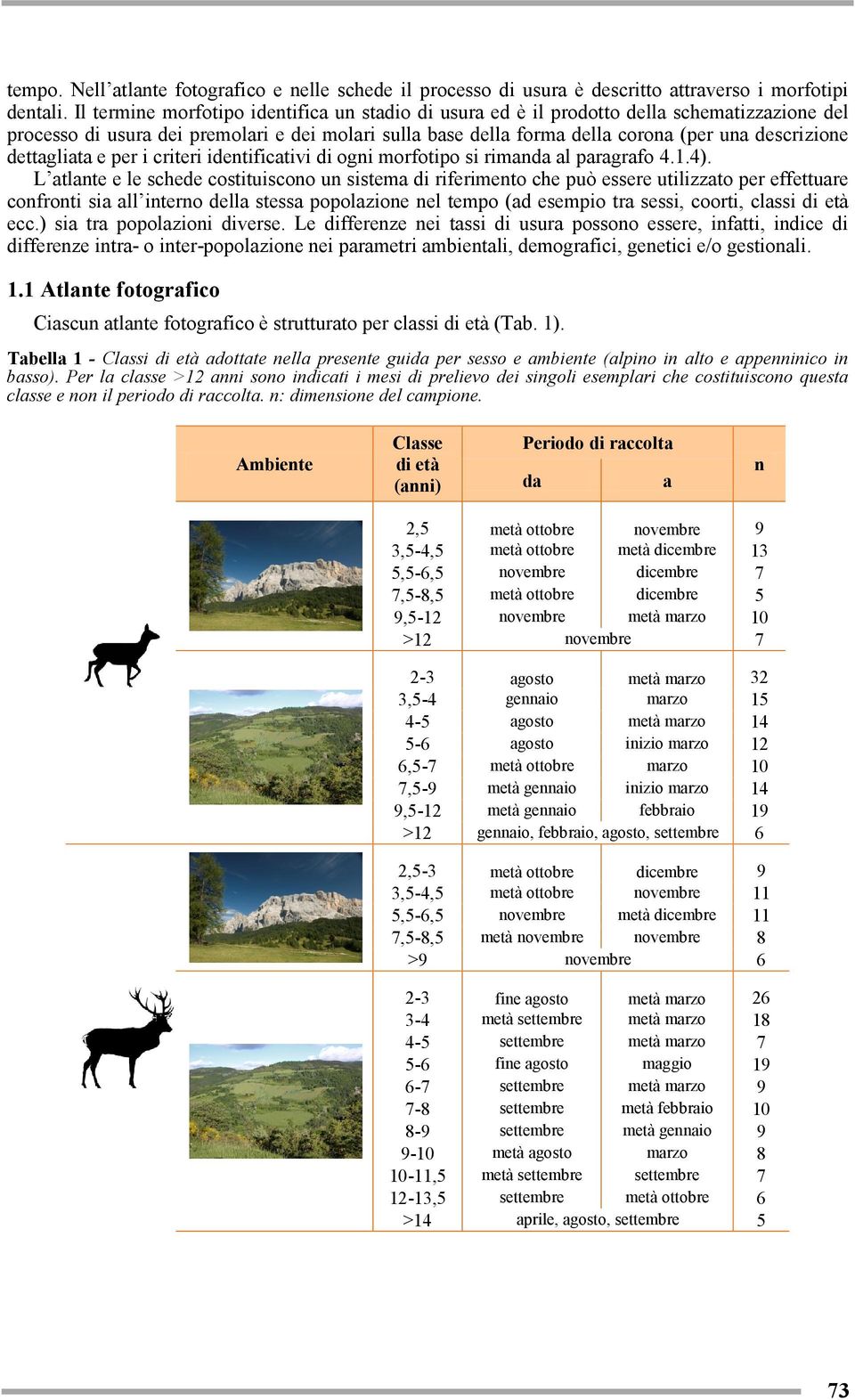 e per i criteri identificativi di ogni si rimanda al paragrafo 4.1.4).