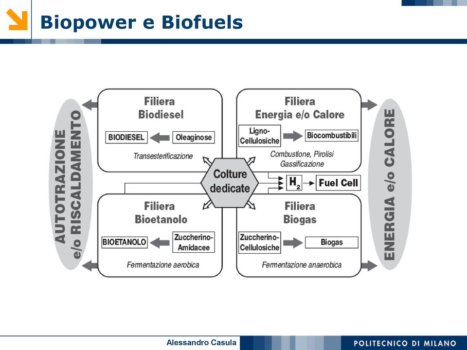 Biofuls