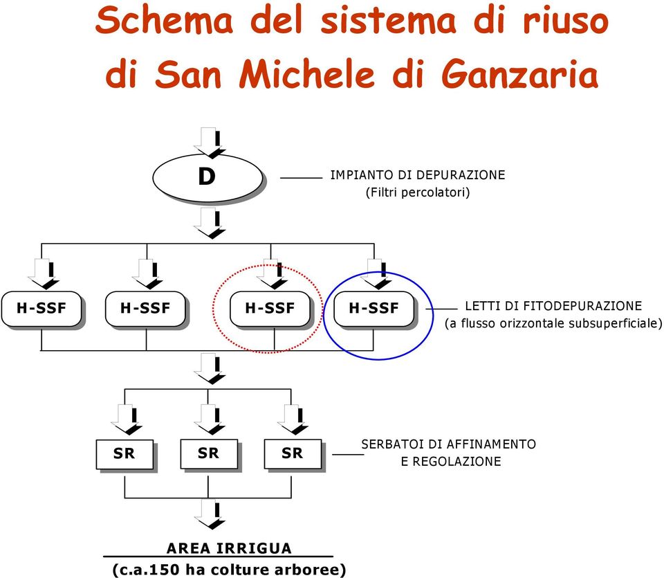 FITODEPURAZIONE (a flusso orizzontale subsuperficiale) SR SR SR