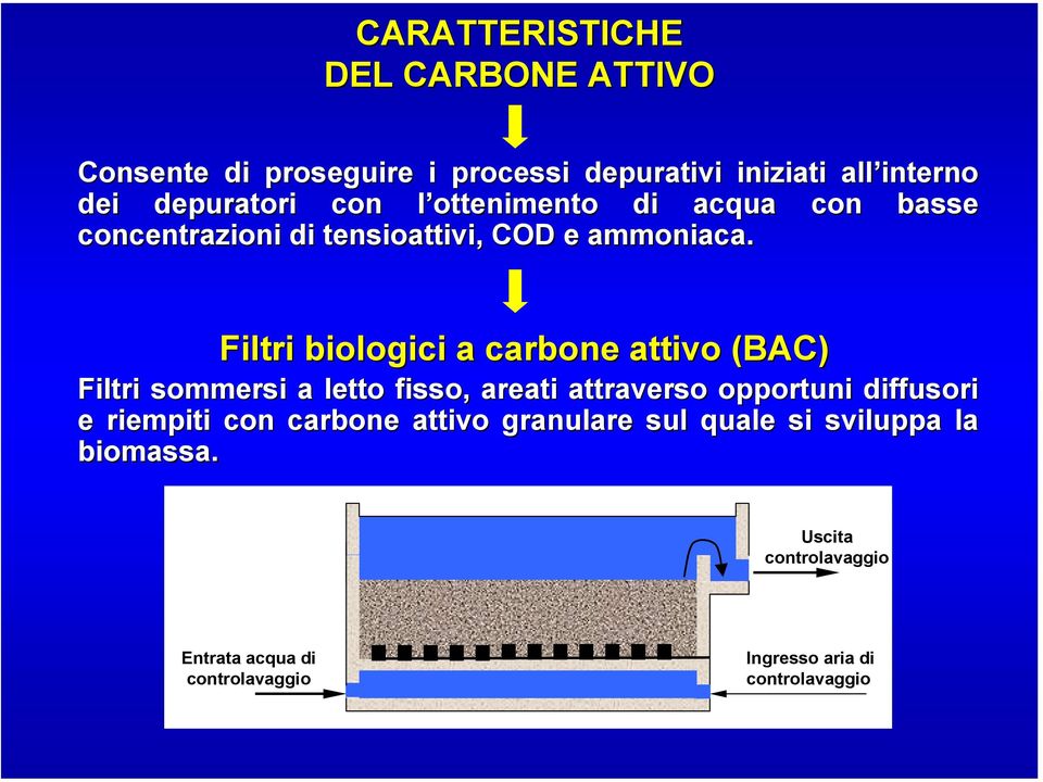 Filtri biologici a carbone attivo (BAC) Filtri sommersi a letto fisso, areati attraverso opportuni diffusori e riempiti con carbone