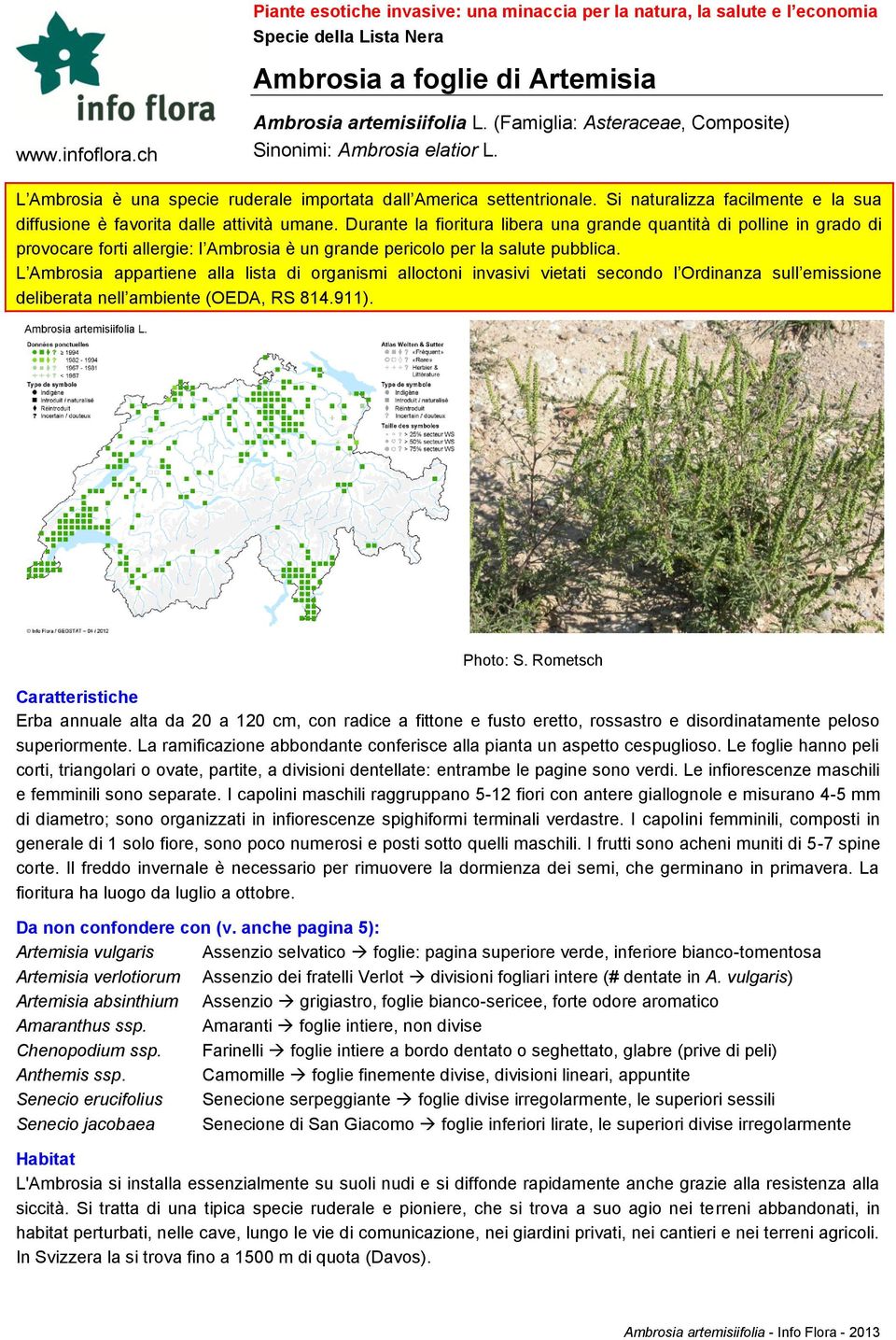 Si naturalizza facilmente e la sua diffusione è favorita dalle attività umane.