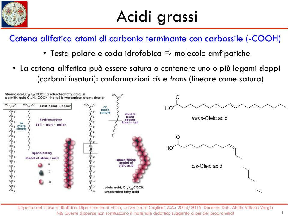 amfipatiche La catena alifatica può essere satura o contenere uno o