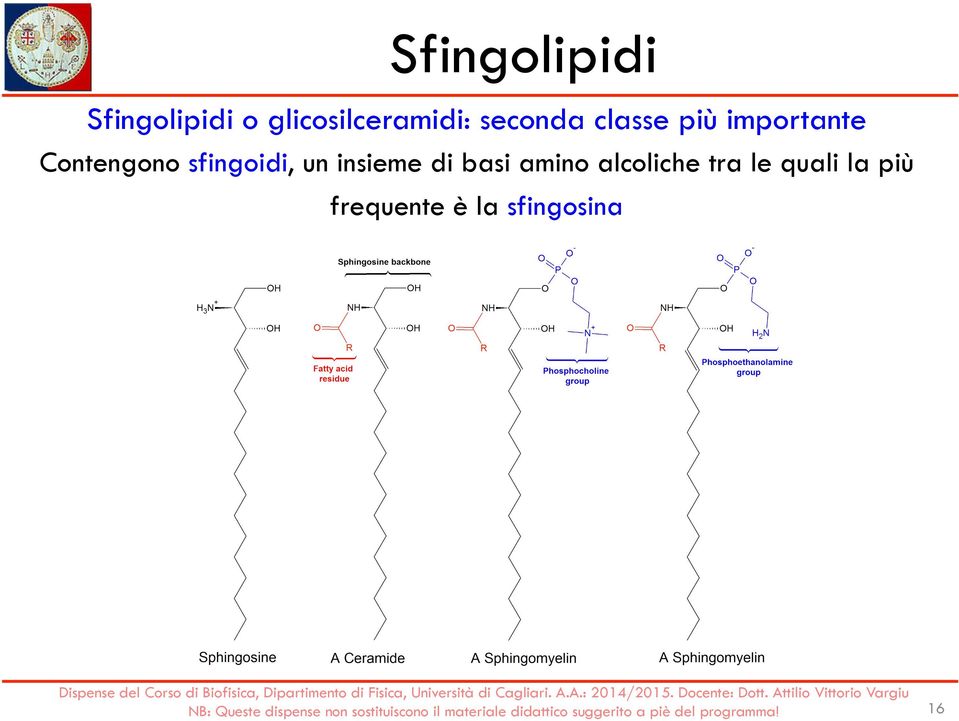 sfingoidi, un insieme di basi amino alcoliche