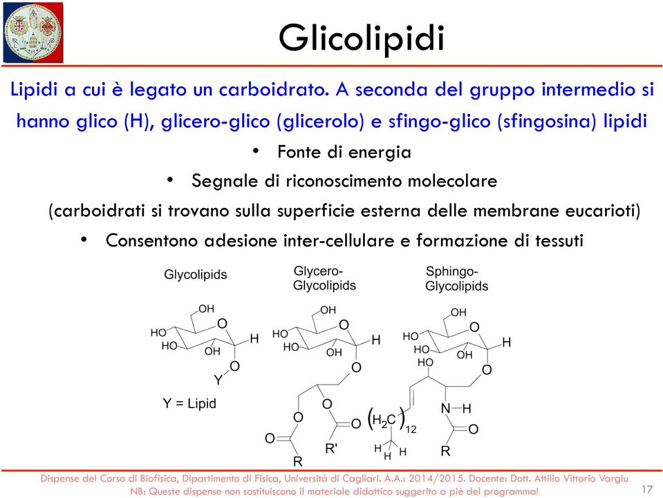 sfingo-glico (sfingosina) lipidi Fonte di energia Segnale di riconoscimento molecolare