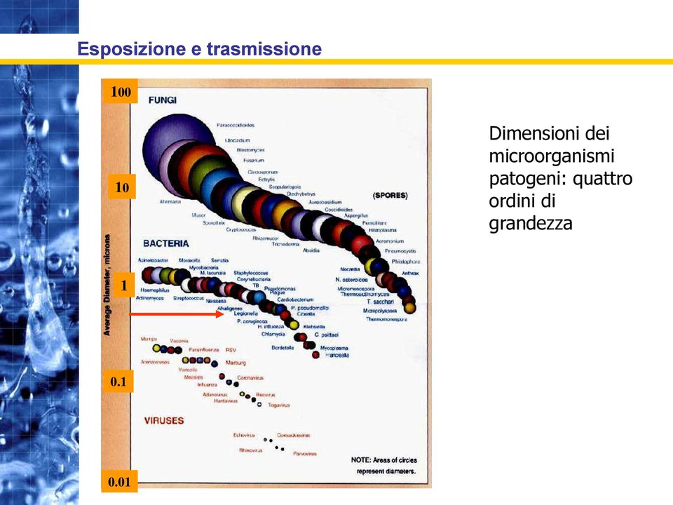 microorganismi patogeni: