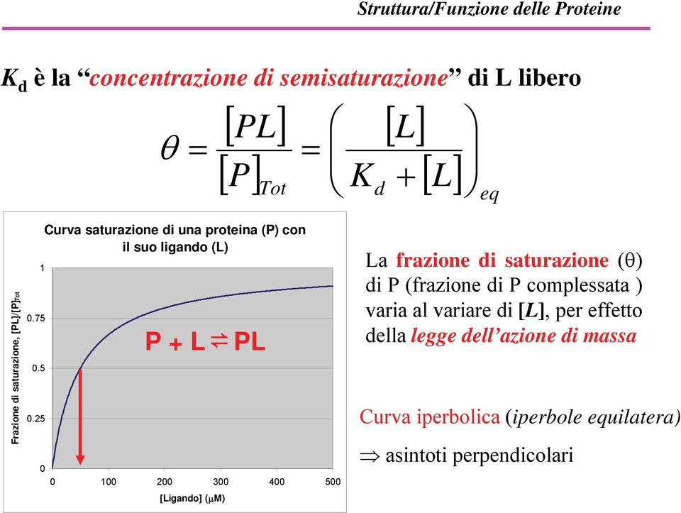 5 0.25 Curva saturazione di una proteina (P) con il suo ligando (L) P + L PL 0 0 100 200 300 400 500 [Ligando] (μm) La
