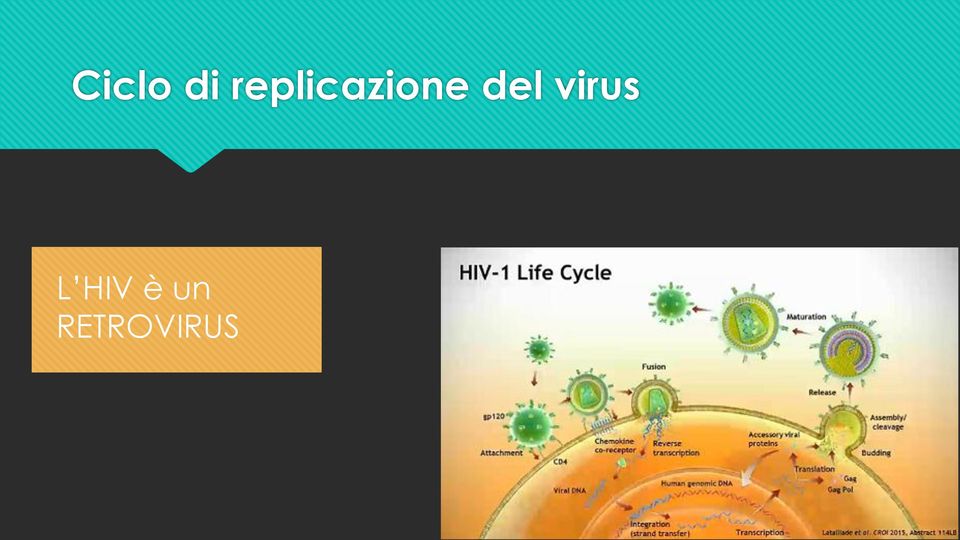 del virus L