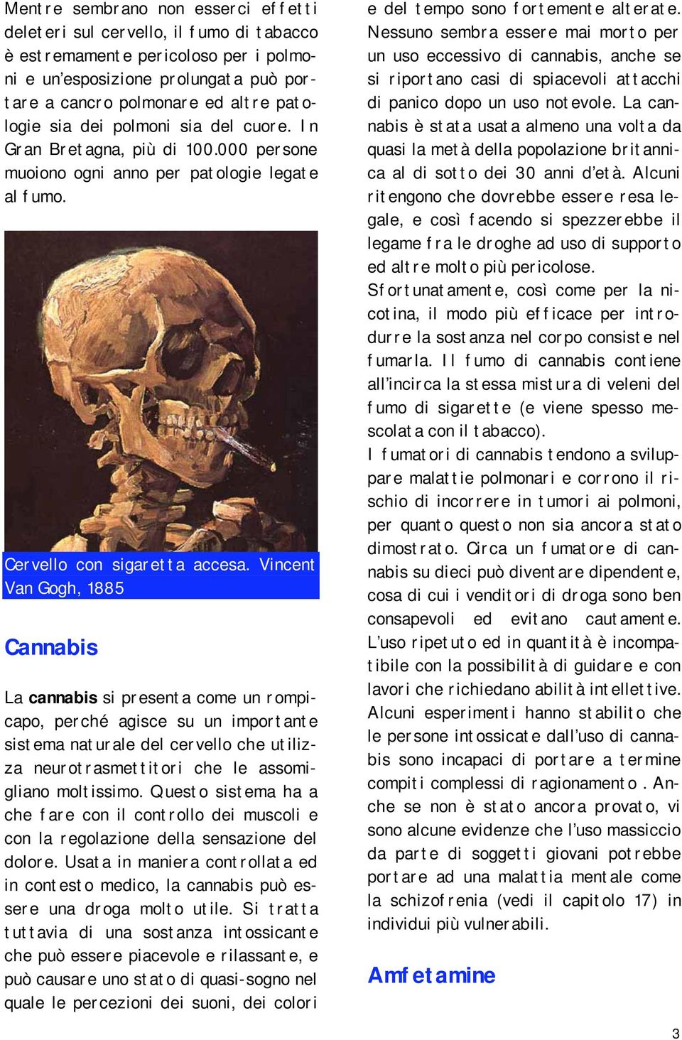 Vincent Van Gogh, 1885 Cannabis La cannabis si presenta come un rompicapo, perché agisce su un importante sistema naturale del cervello che utilizza neurotrasmettitori che le assomigliano moltissimo.