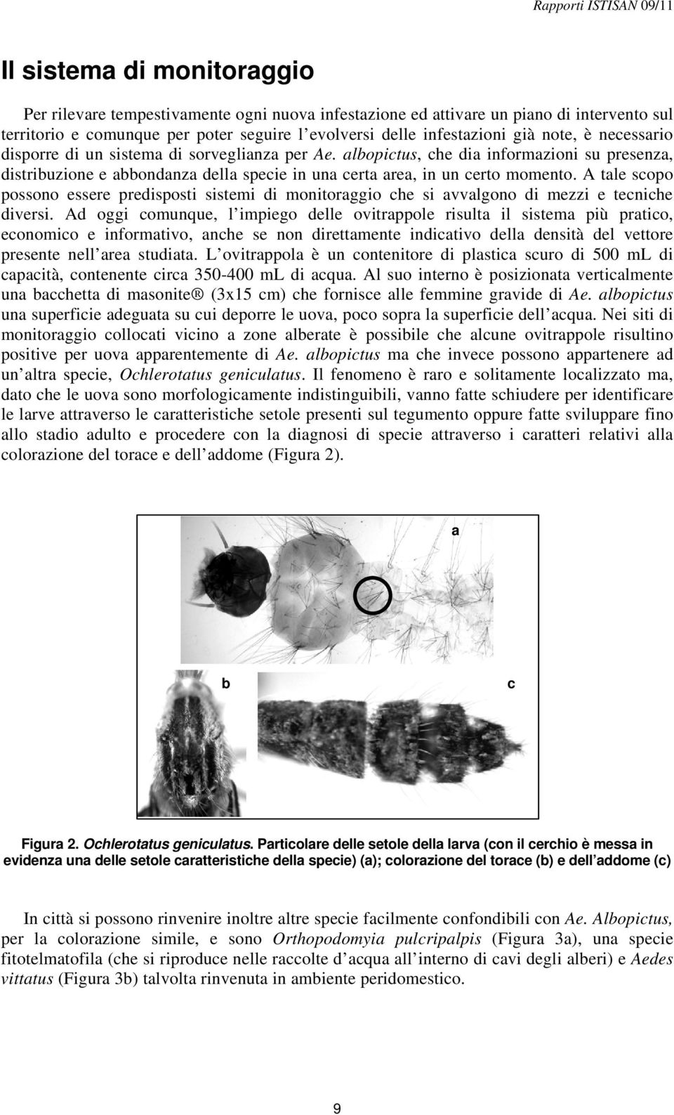 A tale scopo possono essere predisposti sistemi di monitoraggio che si avvalgono di mezzi e tecniche diversi.